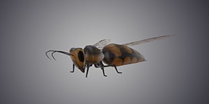 蜜蜂webgl3D交互展示